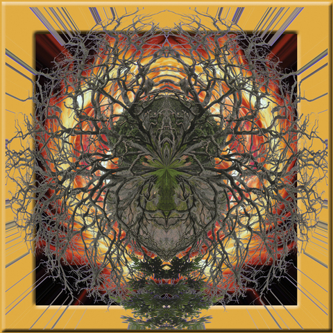 Spider King in Flames